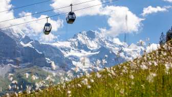 Funivia Grindelwald-Männlichen Funivia Grindelwald-Männlichen