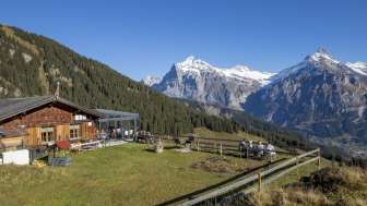 Ristorante di montagna Bussalp 1
